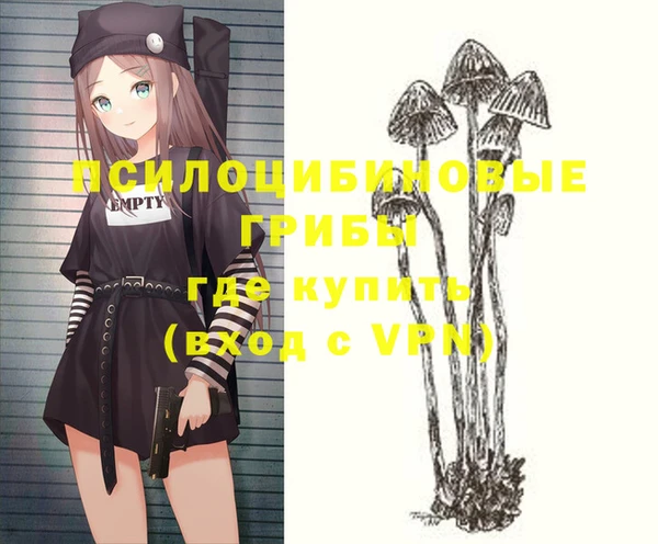 круглые Белокуриха